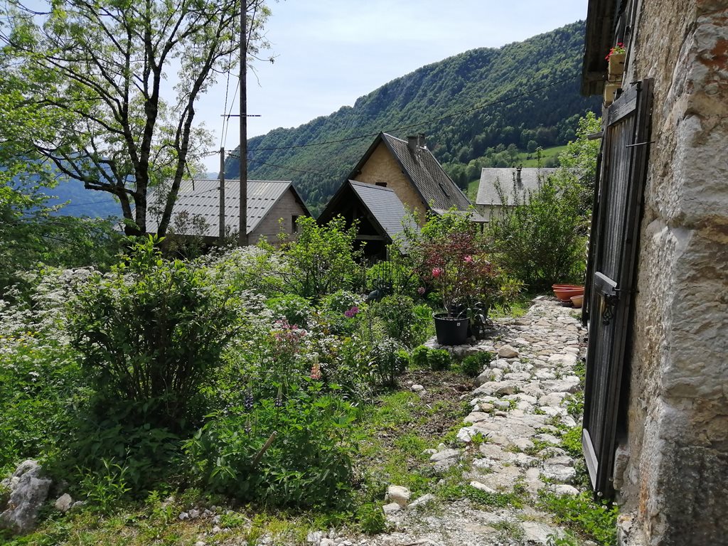 Création Jardin En Savoie Avant